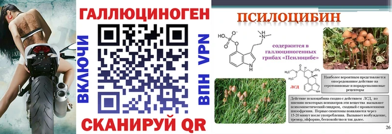 Галлюциногенные грибы Magic Shrooms Котово